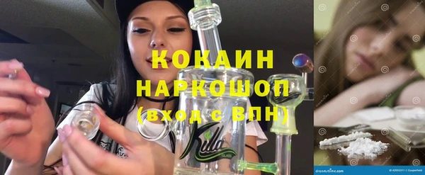 гидра Вяземский