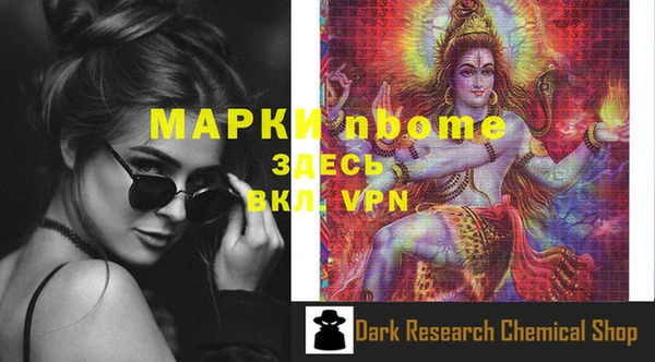 гидра Вяземский