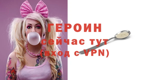 гидра Вяземский
