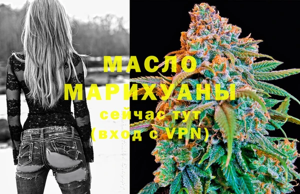 гидра Вяземский