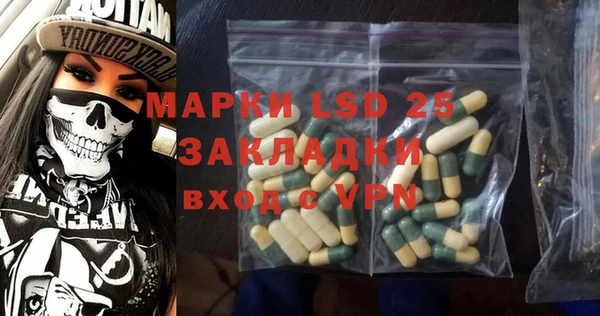 гидра Вяземский