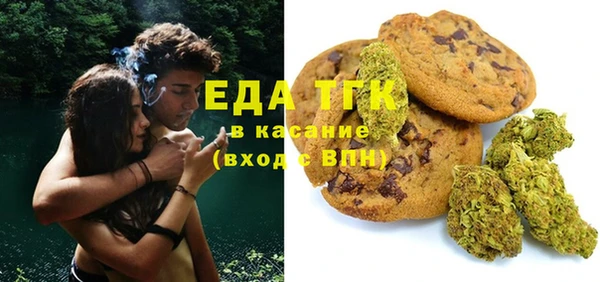 гидра Вяземский