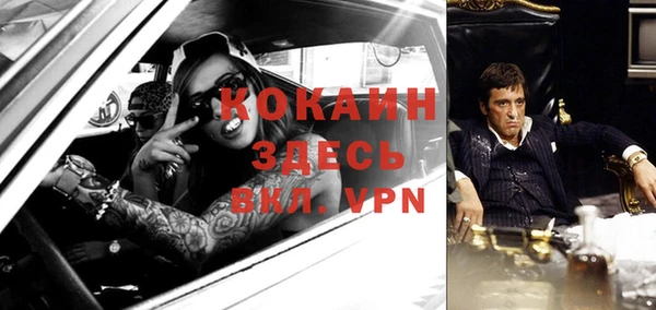 гидра Вяземский