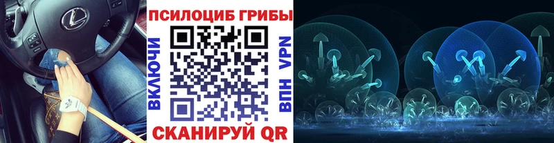 купить наркоту  Ярцево  Псилоцибиновые грибы Psilocybe 
